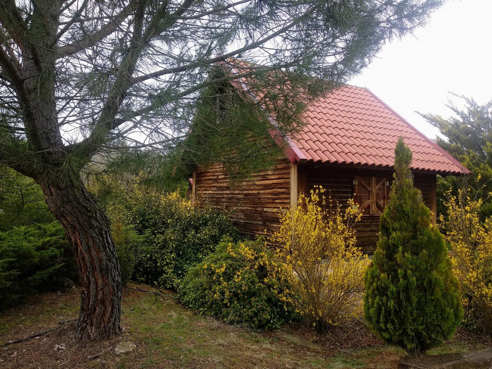 El Muerdago De Canada Guest House Cañada del Hoyo Екстериор снимка