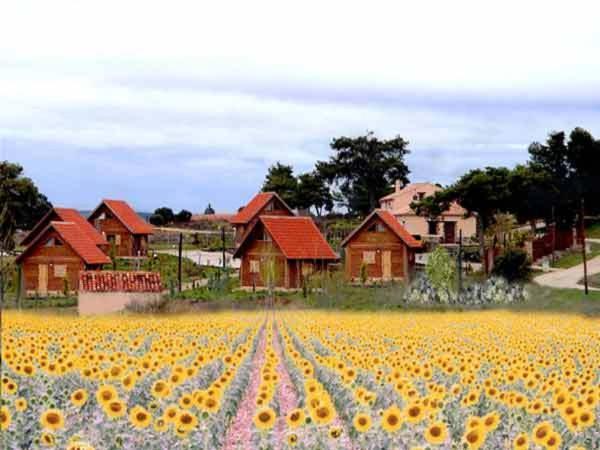 El Muerdago De Canada Guest House Cañada del Hoyo Екстериор снимка